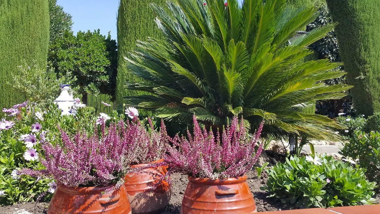 Villa El Jardin De La Abuela à Grenade Hébergement de vacances