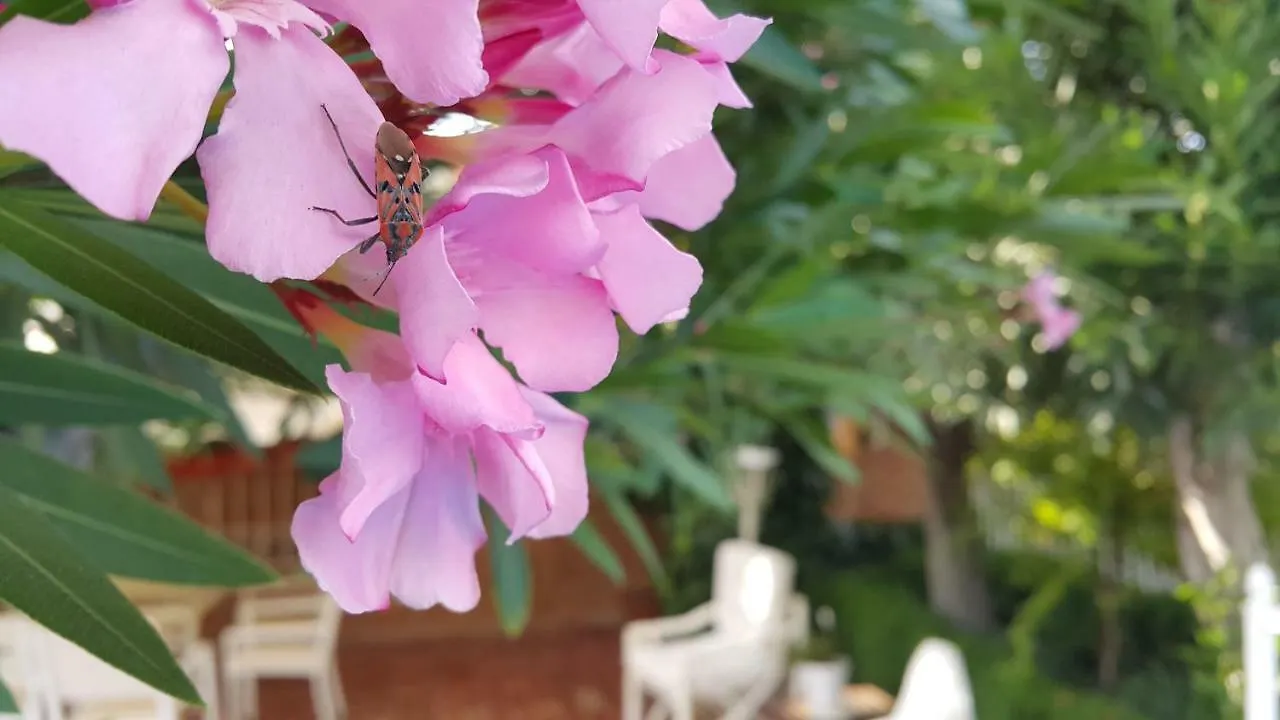 Villa El Jardin De La Abuela à Grenade 0*,  Espagne