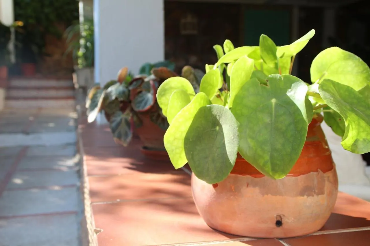 Holiday home El Jardin De La Abuela Villa Granada Spain